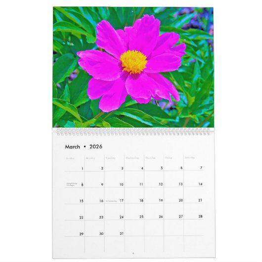 2024 Mijn Rubio Tuinkalender van Bloemen Kalender (Mar 2026)