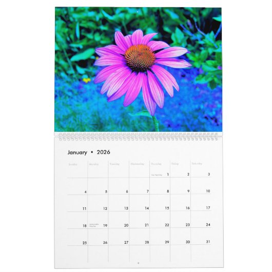 2024 Mijn Rubio Tuinkalender van Bloemen Kalender (Jan 2026)