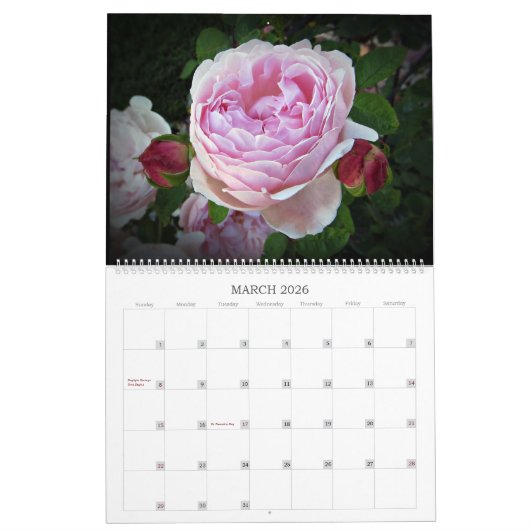 2024 Mooie Rozen twee pagina grote wandkalender Kalender (Mar 2026)