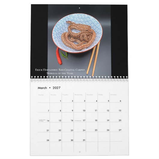 2024 Morelia Python Radio Kalender (Mar 2027)