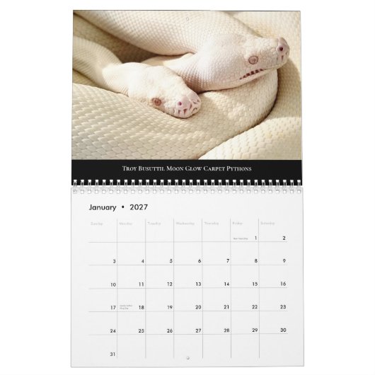 2024 Morelia Python Radio Kalender (Jan 2027)