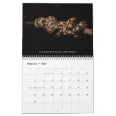 2024 Morelia Python Radio Kalender (Feb 2027)