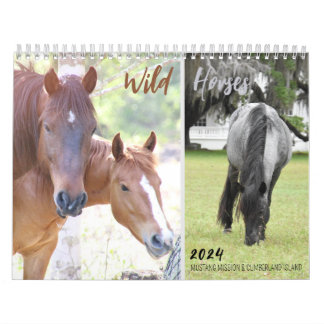 2024 Mustang Mission's wilde paarden - Kalender