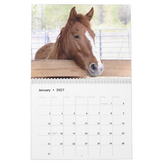 2024 Mustang Mission's wilde paarden - Kalender (Jan 2027)