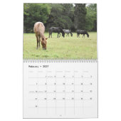 2024 Mustang Mission's wilde paarden - Kalender (Feb 2027)