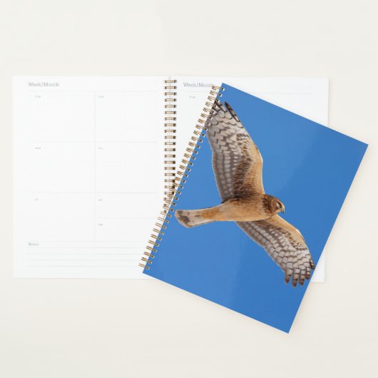 2024 Northern Harrier Hawk Planner (Display)