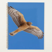 2024 Northern Harrier Hawk Planner (Voorkant)
