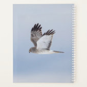 2024 Northern Harrier Hawk Planner (Achterkant)