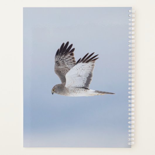 2024 Northern Harrier Hawk Planner (Achterkant)