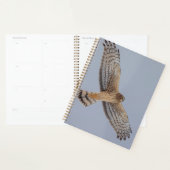 2024 Northern Harrier Hawk Planner (Display)