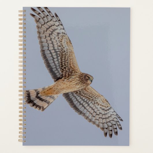 2024 Northern Harrier Hawk Planner (Voorkant)