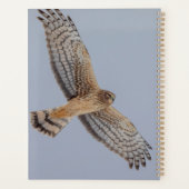 2024 Northern Harrier Hawk Planner (Achterkant)