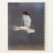 2024 Northern Harrier Hawk Planner (Achterkant)