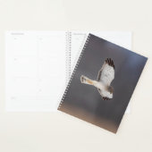 2024 Northern Harrier Hawk Planner (Display)