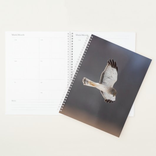 2024 Northern Harrier Hawk Planner (Display)