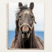 2024 Paard Planner (Voorkant)