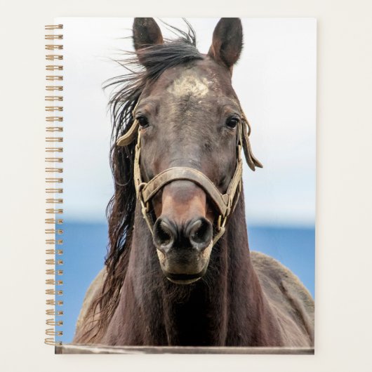 2024 Paard Planner (Voorkant)