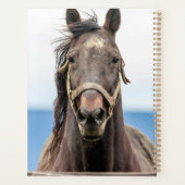 2024 Paard Planner (Achterkant)
