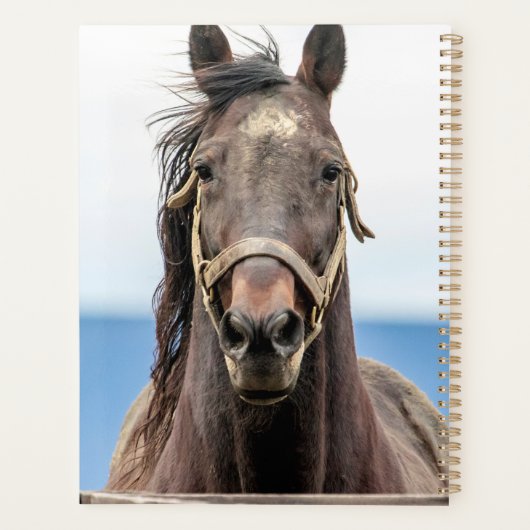 2024 Paard Planner (Achterkant)