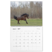 2024 Paardenfotokalender Kalender (Mar 2027)