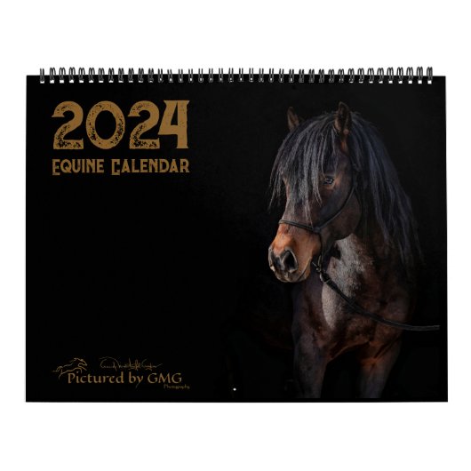 2024 Paardenfotokalender Kalender (Hoes)