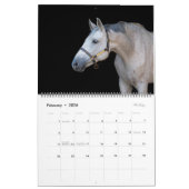 2024 Paardenfotokalender Kalender (Feb 2026)