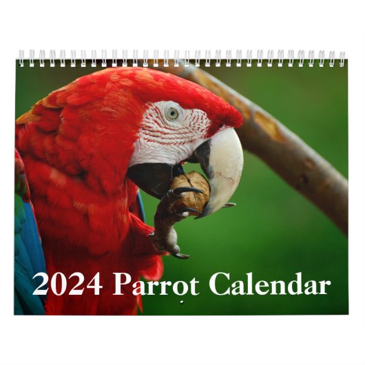 2024 Papegaai Kalender (Hoes)