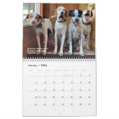 2024 Pointers & Pals Calendar PRO 25e Jubileum Kalender (Jan 2026)