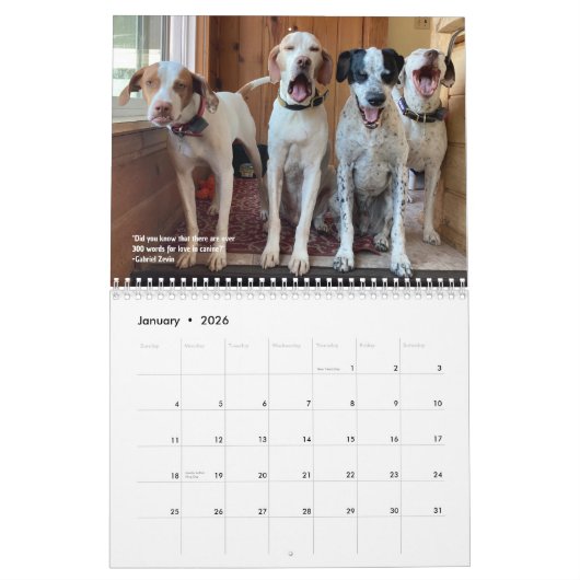 2024 Pointers & Pals Calendar PRO 25e Jubileum Kalender (Jan 2026)