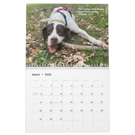 2024 Pointers van de Hart Kalender 25 Jaar (Mar 2026)