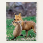 2024 Red Fox en Kit Planner (Achterkant)