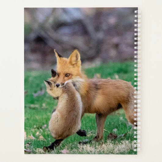 2024 Red Fox en Kit Planner (Achterkant)