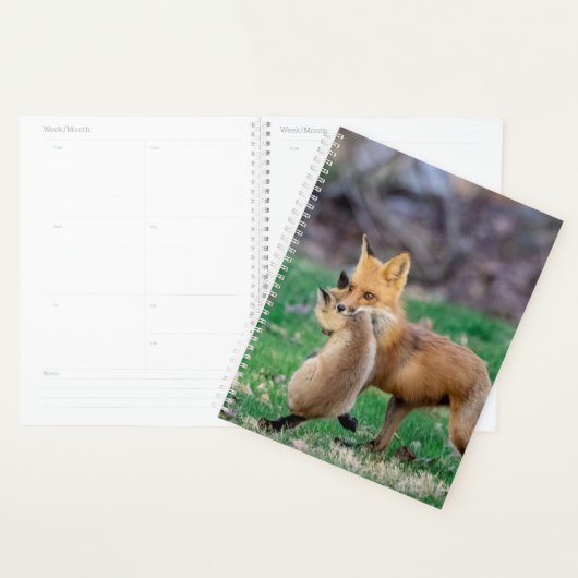 2024 Red Fox en Kit Planner (Display)
