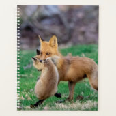 2024 Red Fox en Kit Planner (Voorkant)