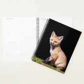 2024 Red Fox Kit Planner (Display)