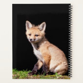 2024 Red Fox Kit Planner (Achterkant)