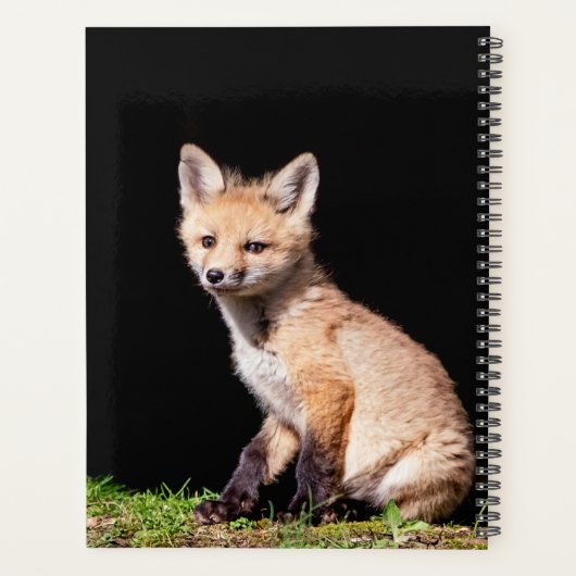 2024 Red Fox Kit Planner (Achterkant)