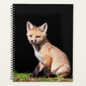 2024 Red Fox Kit Planner (Voorkant)
