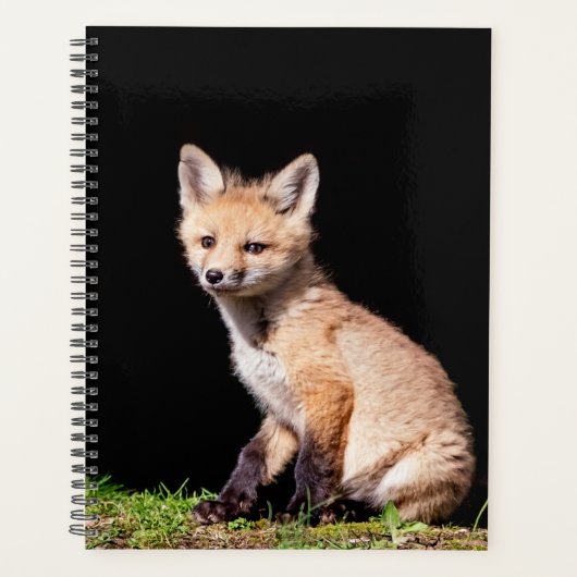 2024 Red Fox Kit Planner (Voorkant)