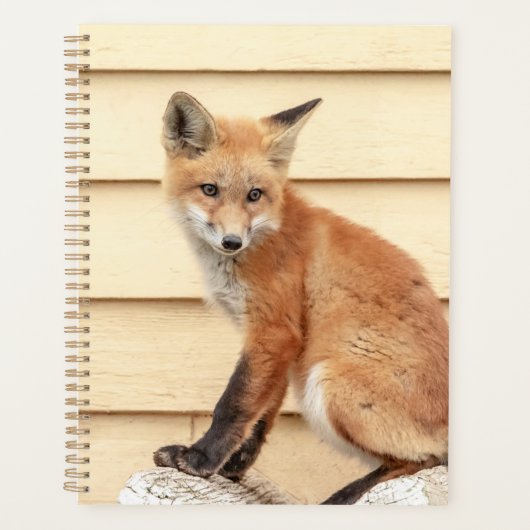 2024 Red Fox Kit Planner (Voorkant)