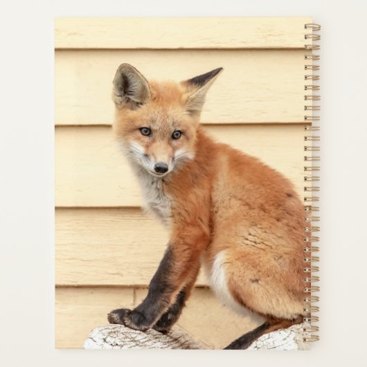 2024 Red Fox Kit Planner (Achterkant)