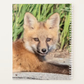 2024 Red Fox Kit Planner (Achterkant)