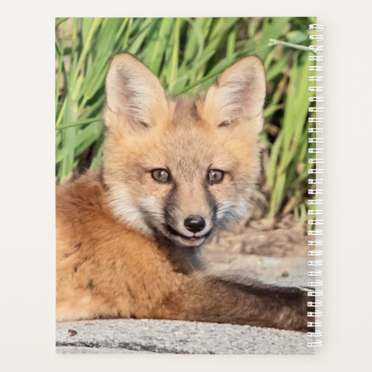 2024 Red Fox Kit Planner (Achterkant)