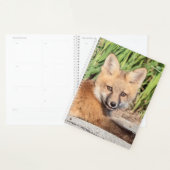 2024 Red Fox Kit Planner (Display)