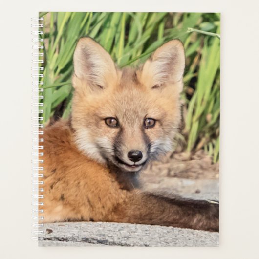 2024 Red Fox Kit Planner (Voorkant)