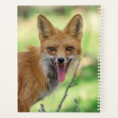 2024 Red Fox Planner (Achterkant)