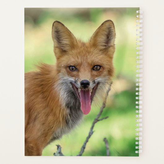2024 Red Fox Planner (Achterkant)