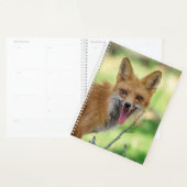 2024 Red Fox Planner (Display)