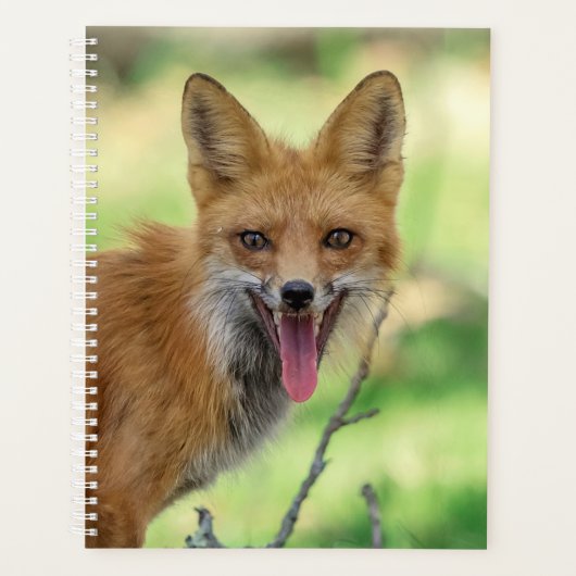 2024 Red Fox Planner (Voorkant)