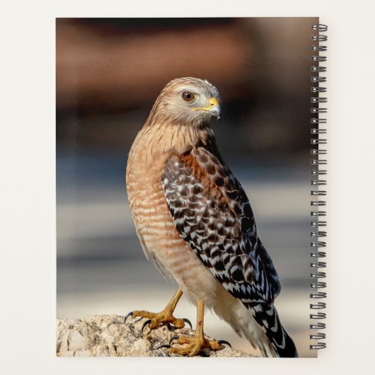 2024 Rode schouder Hawk Planner (Achterkant)